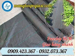 Bạt Chống Cỏ Mọc Giá Sỉ Rẻ Tại TPHCM