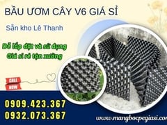 Nhà bán sỉ bầu ươm cây v6 giá rẻ tận gốc