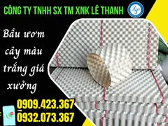 MUA SỈ  TẤM  NHỰA QUẤN BẦU CÂY MÀU TRẮNG GIÁ RẺ