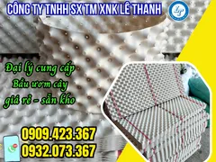 NGUỒN HÀNG BẦU NHỰA TRẮNG ƯƠM CÂY GIÁ SỈ BAO RẺ NHẤT