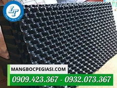 Mua bầu ươm cây thông minh giá rẻ ở đâu HCM?