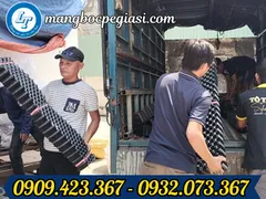 Giá bán sỉ bầu ươm cây thông minh tại xưởng