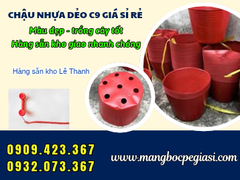 Chậu Nhựa C9 Màu Đỏ Kích Thước Bao Nhiêu? Giá Sỉ Tại Lê Thanh
