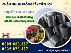Chậu nhựa c16 kích thước bao nhiêu? Phù hợp trồng cây gì?