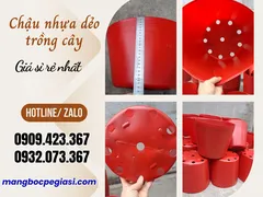 LẤY SỈ CHẬU NHỰA MÀU ĐỎ TRỒNG CÂY TẾT GIÁ RẺ