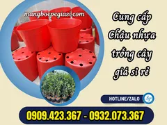 XƯỞNG BÁN SỈ RẺ CHẬU NHỰA ƯƠM CÂY GIỐNG NHIỀU KÍCH CỠ
