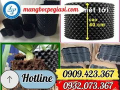 Bầu ươm V6 thông minh tiện lợi giá sỉ siêu hời