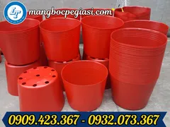 Phân phối chậu nhựa đỏ trồng cây số lượng lớn giá siêu rẻ