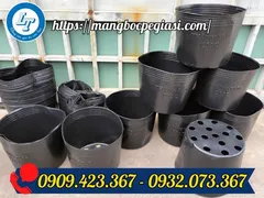 Chậu nhựa mềm trồng cây giá rẻ TPHCM