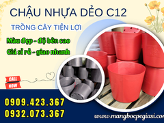 Sỉ chậu nhựa C12 trồng cây số lượng lớn giá tốt