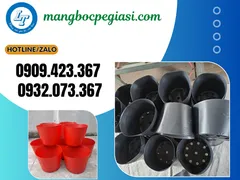 NGUỒN SỈ CHẬU NHỰA DẺO TRỒNG CÂY GIÁ RẺ TPHCM