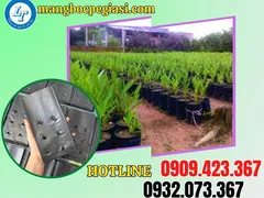 Bỏ sỉ túi bầu ươm cây tại Tiền Giang