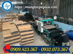 Công ty sản xuất bầu ươm cây giá rẻ nhất miền Nam
