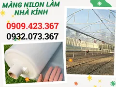 ĐẠI LÝ BÁN MÀNG NILON NHÀ KÍNH