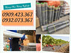 CUỘN MÀNG PHỦ NÔNG NGHIỆP CÓ GIÁ SỈ BAO NHIÊU?