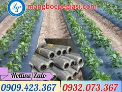 Mua sỉ rẻ màng phủ nông nghiệp tại Tiền Giang