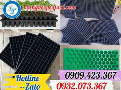 Cung cấp sỉ giá rẻ khay vỉ ươm hạt giống lỗ vuông, lỗ tròn