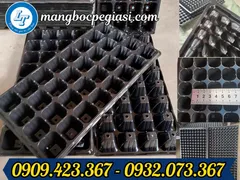Khay ươm hạt giống giá rẻ, giao hàng tận nơi