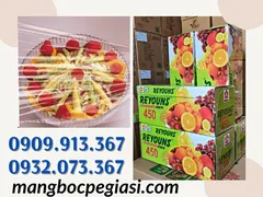 ĐẠI LÝ BỎ SỈ MÀNG BỌC THỰC PHẨM