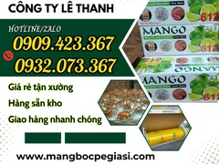 Phân phối sỉ rẻ màng bọc thực phẩm MANGO 612
