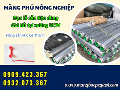Màng Phủ Nông Nghiệp Đục Lỗ Sẵn Giá Rẻ Dễ Sử Dụng