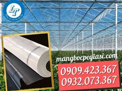 Chỗ bán giá sỉ rẻ màng nhà kính nông nghiệp