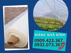 VAI TRÒ MÀNG NILON NHÀ KÍNH TRONG NÔNG NGHIỆP