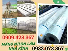 MUA MÀNG NILON LÀM NHÀ KÍNH CHẤT LƯỢNG