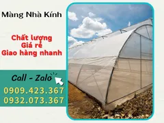 MÀNG NILON NHÀ KÍNH GIÁ SỈ -  MIỄN PHÍ GIAO HÀNG