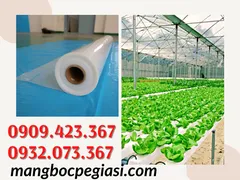 MÀNG NILON LÀM NHÀ KÍNH GIÁ RẺ