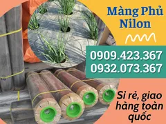 MÀNG PHỦ NÔNG NGHIỆP CÓ MẤY LOẠI, GIÁ RẺ Ở ĐÂU?