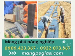 GIÁ SỈ MÀNG PHỦ NÔNG NGHIỆP TẠI XƯỞNG