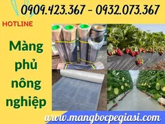Màng nông nghiệp màu trắng, màu đen giá sỉ rẻ tận xưởng