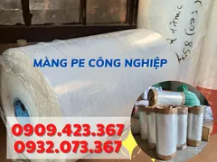 KHO SỈ MÀNG PE QUẤN MÁY