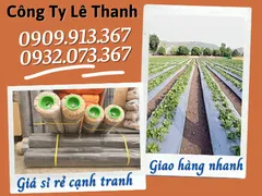 MÀNG PHỦ NÔNG NGHIỆP GIÁ TỐT Ở ĐÂU?