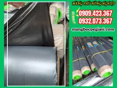MUA MÀNG PE PHỦ NÔNG NGHIỆP CHẤT LƯỢNG CAO GIÁ TẬN XƯỞNG