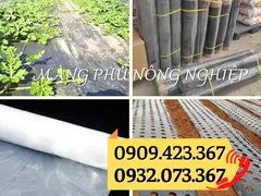 ĐẦU MỐI CUNG CẤP MÀNG PHỦ NILON NÔNG NGHIỆP SỈ RẺ