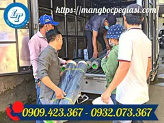 Địa chỉ bán màng phủ nông nghiệp khổ lớn 2mx200m