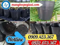 Nơi lấy sỉ chậu nhựa đen trồng cây hoa giá cực rẻ