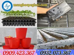 Đại lý sỉ dụng cụ nông nghiệp tại Tiền Giang