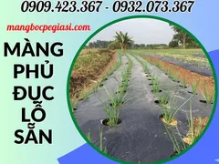 Đại lý sỉ màng phủ đục lỗ trong nông nghiệp