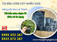 Kho Sỉ Túi Bầu Ươm Cây Giống Bán Theo Kg