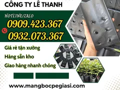 Phân phối túi bầu ươm hạt giống nhiều size giá rẻ
