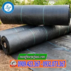 BẠT PHỦ CHỐNG CỎ