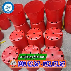 CHẬU NHỰA TRỒNG CÂY MÀU ĐỎ