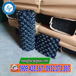 BẦU ƯƠM CÂY THÔNG MINH