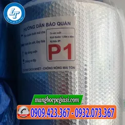 TÚI KHÍ CÁCH NHIỆT P1