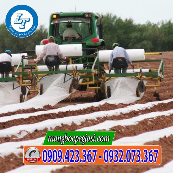Tiến hành trải màng nilon phủ đất nông nghiệp Tiến hành trải màng nilon phủ đất nông nghiệp