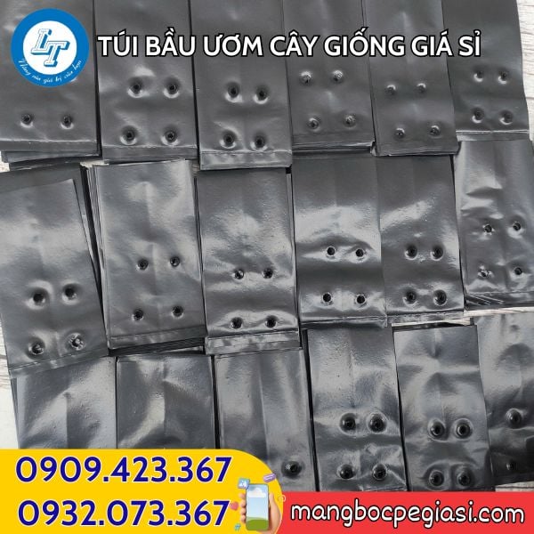 Túi bầu ươm cây giống chất lượng Túi bầu ươm cây giống
