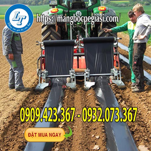 Màng phủ nông nghiệp màu đen giá sỉ Màng phủ nông nghiệp màu đen giá sỉ